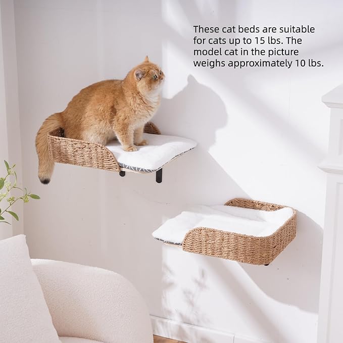 SHENGOCASE Modern Wall Mounted Cat Bed Perch with Handwoven Guardrail, 2-Pack, Wooden Shelves with Washable Pillow Cushions, Wall Furniture Set