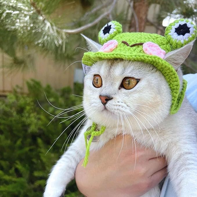 Cute Cat Hat Frog Shape Pet Cap Funny Costume Weaving Puppy Cat Hat Head Wear Accessories for Kitten