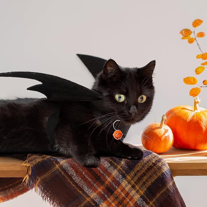OLANRUN Cat Halloween Costume, Small Dog Halloween Costumes - Bat Wing with Pumpkin Bell for Pet Halloween Cosplay Party Dress Up Accessories (Large)