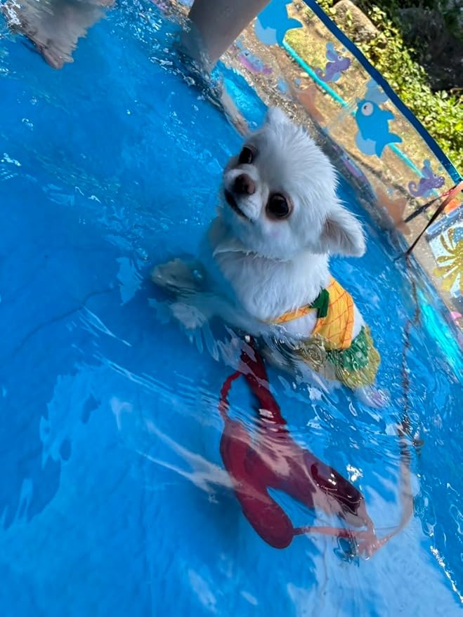Funny Dog Swimwear Bikini Summer Dog Clothes Beach Swimsuit Puppy Bathing Suit Puppy Vest Cooling Pet Shirt for Small Dogs, Cat Apparel (X-Large, Yellow Pineapple)