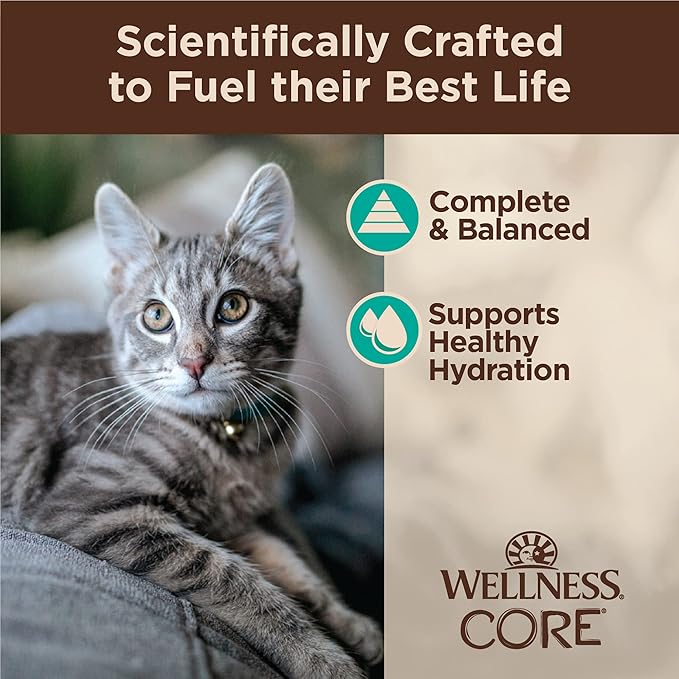 Wellness CORE Tiny Tasters Flaked Adult Wet Cat Food, Natural, Protein Rich, Grain Free, Tuna and Salmon Recipe, 1.75 oz, Pack of 12 Pouches