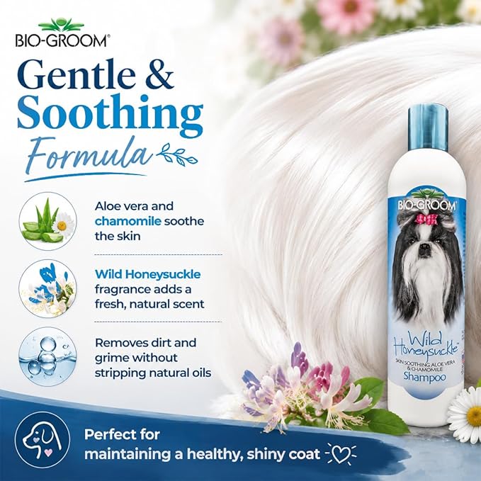 Bio-Groom Wild Honeysuckle Dog Shampoo - Natural Scent Pet Shampoo, Aloe Vera, Chamomile, Cat & Dog Bathing Supplies, Puppy Wash, Cruelty-Free, Made in USA, Quick Rinse Cat Shampoo - 12 fl oz 1-Pack