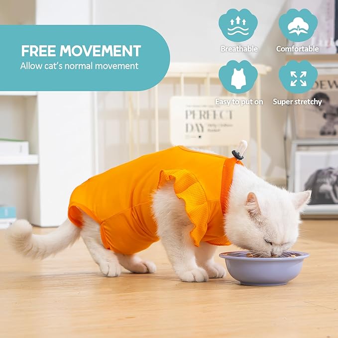 Avont Cat Recovery Suit - Post-Surgery Onesie for Cats, Alternative to Cone of Shame, Protective Spay Suit for Female Kitten, Ideal for Healing and Skin Conditions -Orange(S)
