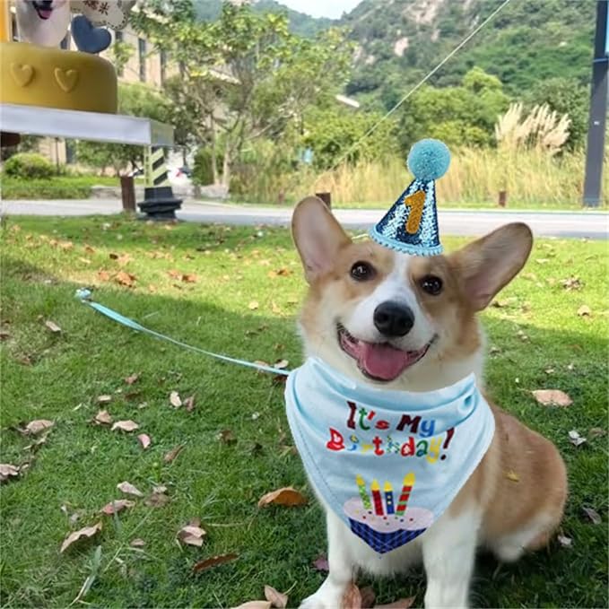 Dog Birthday Party Supplies with Bandana and Party Hat with Numbers, Happy Party Banner and Bollon for Small Middle Dogs Blue Birthday Boy Girl Scarf (Blue)
