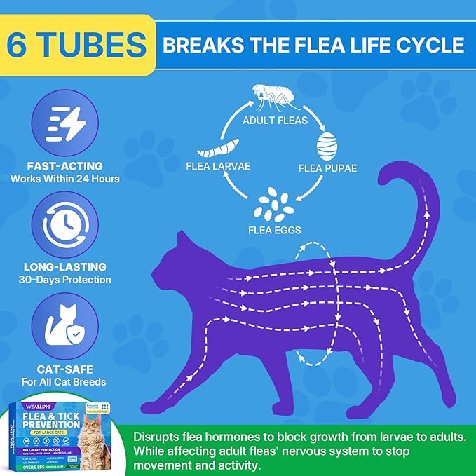 WEALLIN Flea and Tick Prevention for Large Cat, Fleas and Ticks Treatment for Cats Over 9 lbs, Topical Cat Flea Treatment, Fast-Acting & Long-Lasting Fleas Control for Cats, 6-Dose Supply