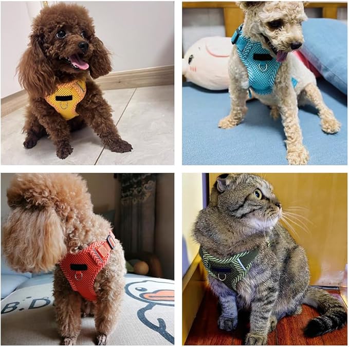 Cat Harness and Leash Escape Proof Harness for Kitten Puppy Adjustable Breathable Cats Dog Easy Walk Seatbelt X-Large, Yellow