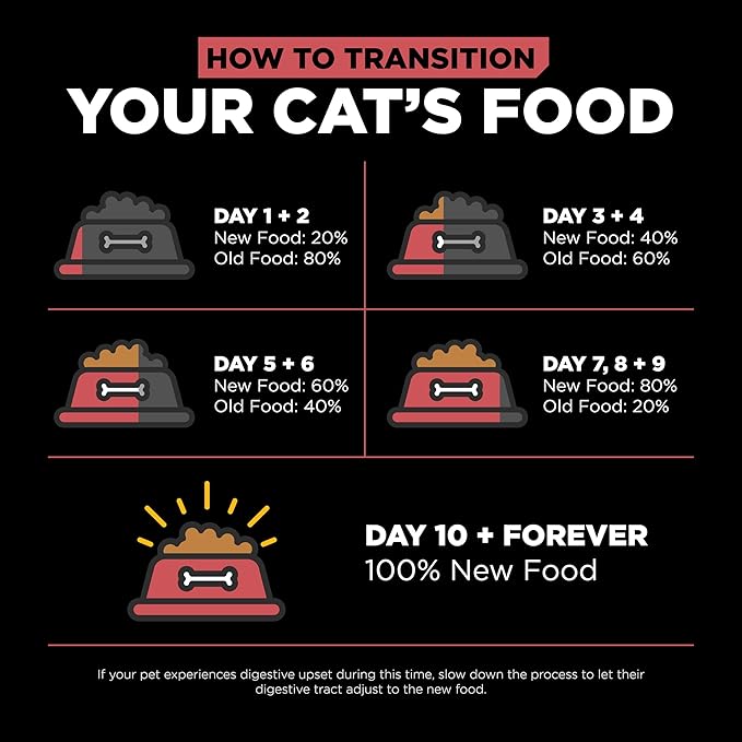 Go! Solutions Sensitivities Limited Ingredient Salmon Grain-Free Dry Cat Food, Chicken-Free Kibble Made by Experts for Sensitive Stomachs & Food Allergies, for Kittens, Adults, & Seniors, 6 lb Bag