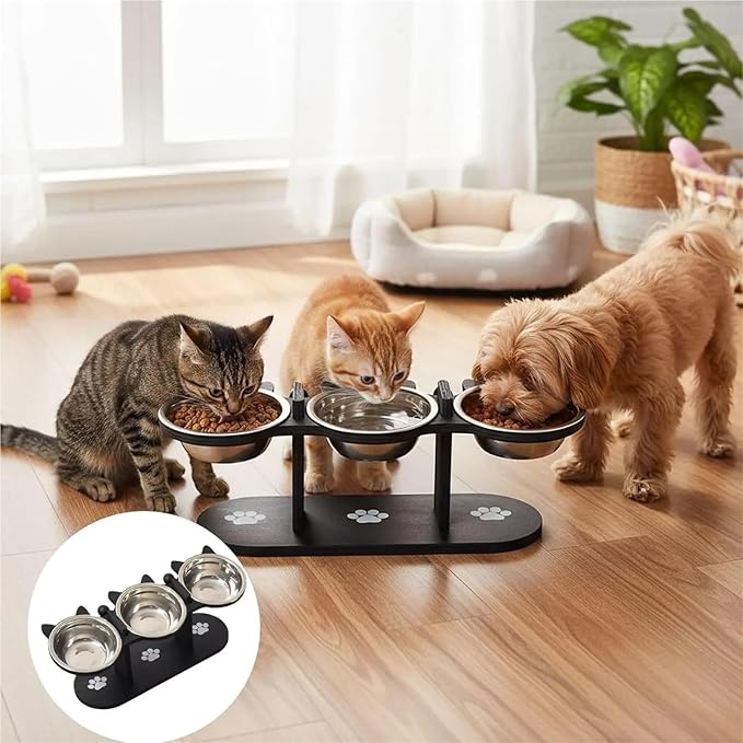 15° Tilt Elevated Stainless Steel Cat Bowl, Wooden Stand Pet Food Water Feeding Dish