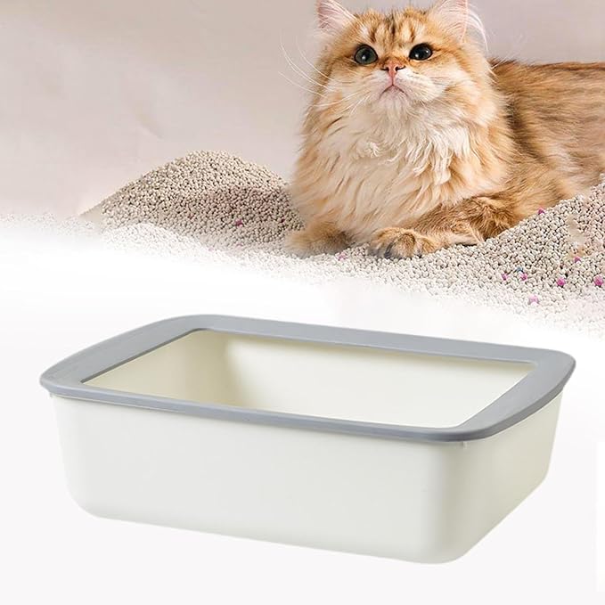 Open Top Pet Litter Tray, Easy Clean Cat Litter Box with Splash Guard, 16.14x12.20x4.92 Inch Indoor Cat Sand Box Toilet Basin- White