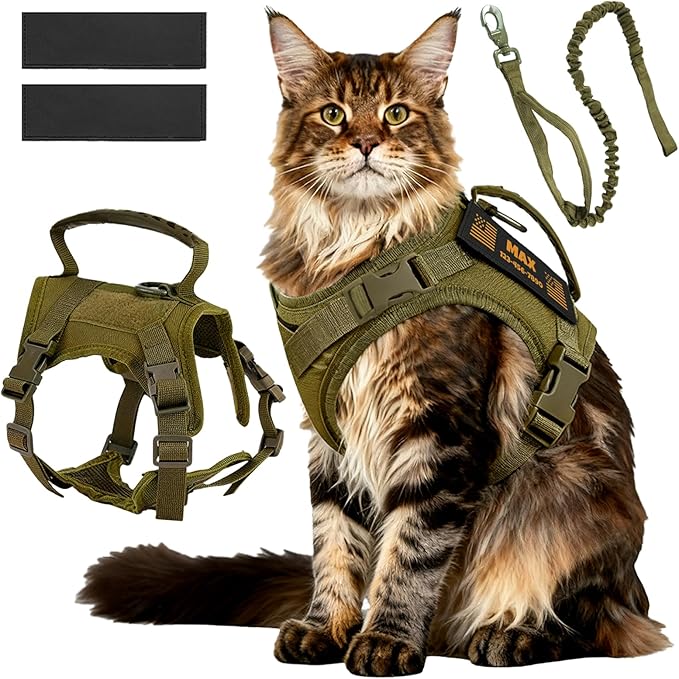 Cat Harness and Leash Escape Proof Tactical Cat Harness with Custom Patches Adjustable Soft Vest for Walking & Training Comfortable Outdoor Gear Fits Small Medium Large Cats (8-20 lbs)