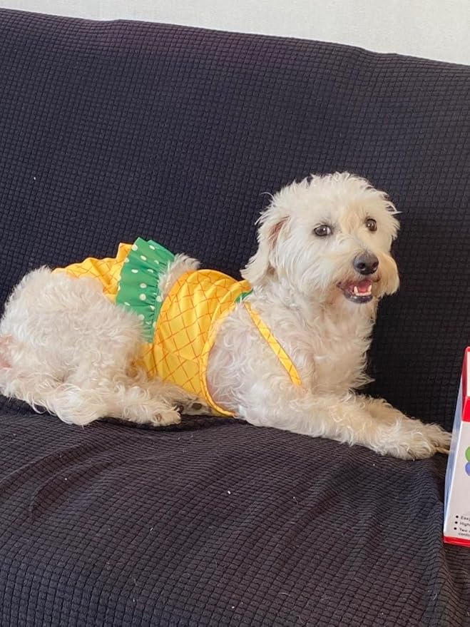 Funny Dog Swimwear Bikini Summer Dog Clothes Beach Swimsuit Puppy Bathing Suit Puppy Vest Cooling Shirts Pet Shirt for Small Dogs, Cat Apparel (X-Small, Yellow Pineapple)