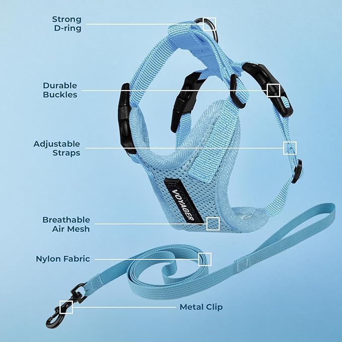 Voyager Step-in Lock Adjustable Cat Harness w. Cat Leash Combo Set with Neoprene Handle 5ft - Supports Small, Medium and Large Breed Cats by Best Pet Supplies - Baby Blue, XXXS