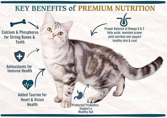 Chicken Soup for the Soul All Natural Premium Adult Dry Cat Food, Real Meat First Ingredient, No By-Products, Supports Heart, Gut & Immune Health, Salmon & Brown Rice, 4.5lb