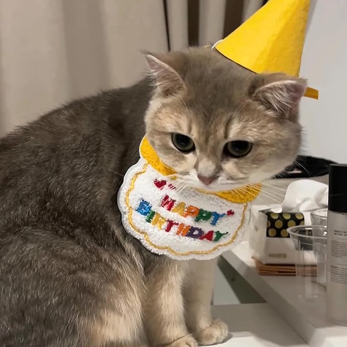 Lasflores Yellow Cat Birthday Supplies Set - Kitten Hat, Number Decor & Happy Birthday Banner Outfits