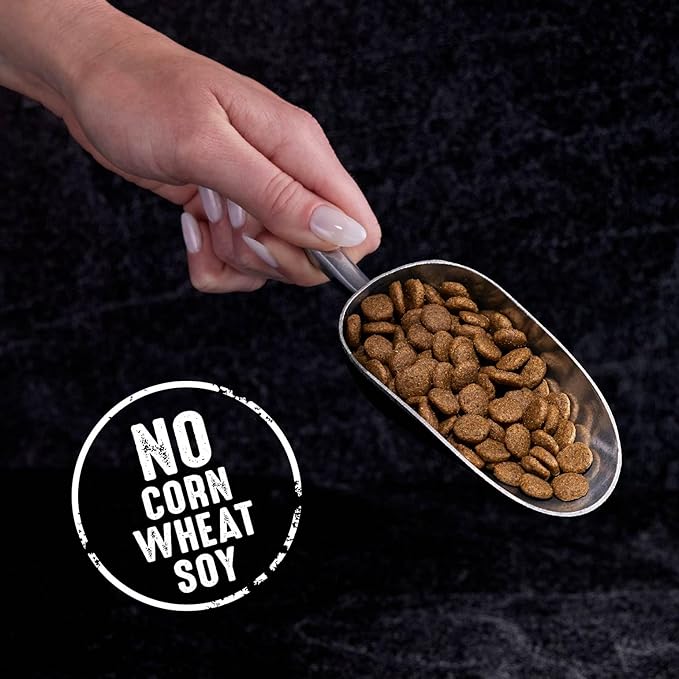CRAVE Grain Free Adult High Protein Natural Dry Cat Food with Protein from Chicken, 4 lb. Bag