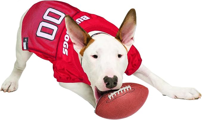NCAA College Georgia Bulldogs Mesh Jersey for Dogs & Cats, Small. Licensed Big Dog Jersey with Your Favorite Football/Basketball College Team (Pack of 2)