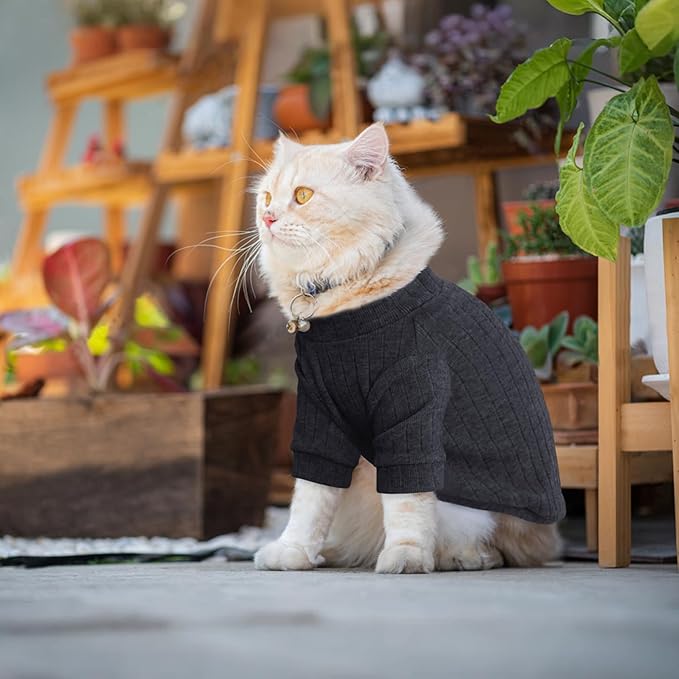 Idepet Sphynx Hairless Cats Sweater Shirt Kitten Soft Puppy Clothes Pullover Cute Cat Pajamas Jumpsuit Cotton Apparel Pet Winter Turtleneck for Cats and Teacup Chihuahua Small Dogs(Black,XS)
