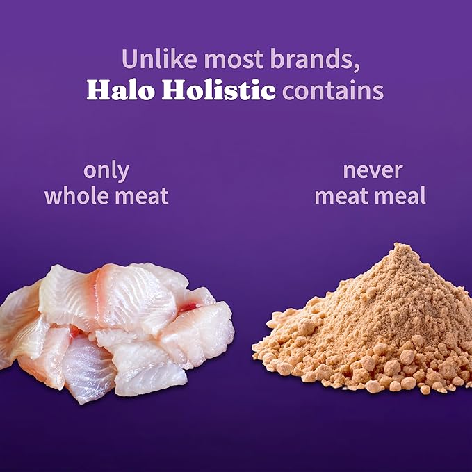 Halo Holistic Cat Food Wild Caught Whitefish Formula, Healthy Grains Dry Cat Food, For Sensitive Stomach Support, Kibble for Adult Cats, 6 lb Bag