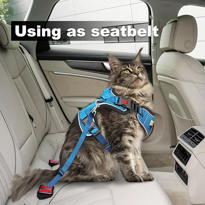 MingXpets Cat Harness and Leash for Walking, Retractable Cat Harnesses and Leash Set Escape Proof, Breathable Soft Kitten Small Large Harness for Travel Training and Walking, Blue, M