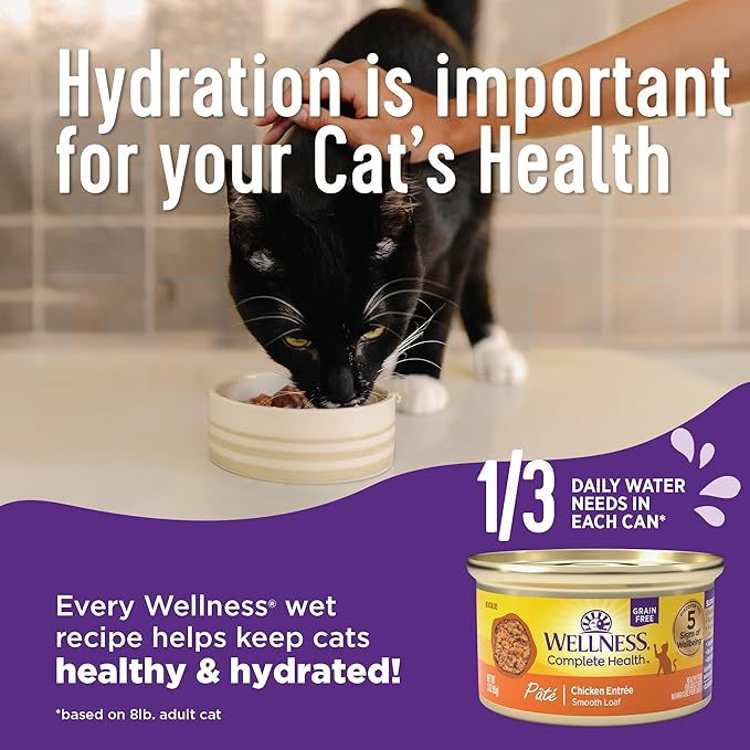 Wellness Complete Health Grilled Favorites Variety Pack Adult Canned Wet Cat Food, Natural, Protein Rich, Grain Free, 3 oz, Pack of 24 Cans