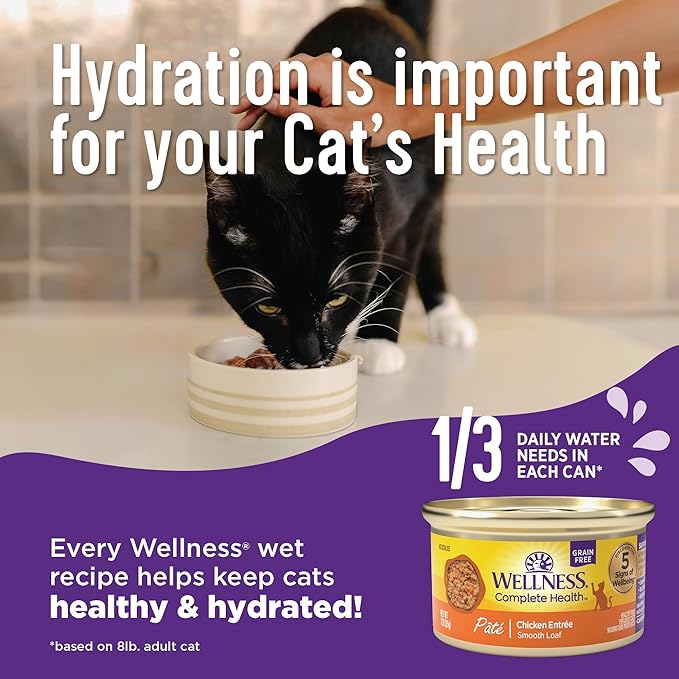 Wellness Complete Health Purrfect Duos Cuts in Gravy Adult Wet Cat Food, Natural, Protein Rich, Grain Free, Tuna and Cod Dinner Recipe, 2.64 oz, Pack of 12 Split Cups
