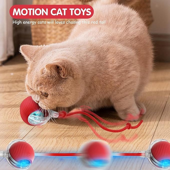 360°Interactive Rolling Cat Ball - Automatic Chew Toy for Active Cats & Small Dogs, Smart Fast Rolling Pet Toy