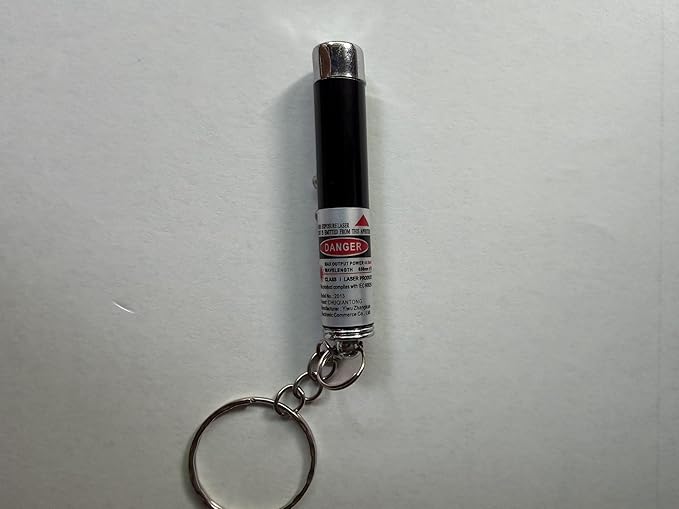 6PCS Cat Toy Mini Red Laser Pointer Cat Dog Interactive Training Tools White LED Torch Light with Keychain