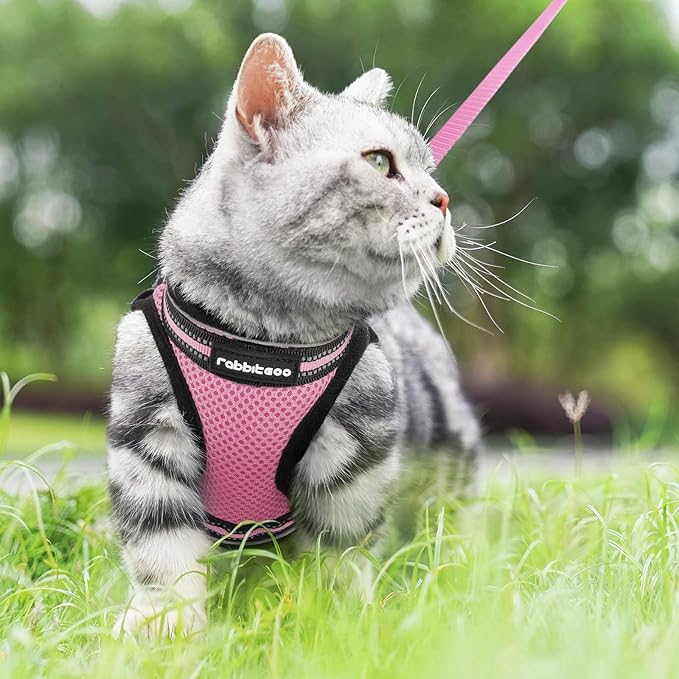 rabbitgoo Cat Harness and Leash Set for Walking Escape Proof, Adjustable Soft Kittens Vest with Reflective Strip for Cats, Comfortable Outdoor Vest, Pink, S