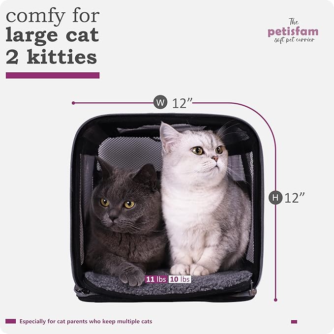 Soft Pet Carrier for Large and Medium Cats, 2 Kitties, Small Dogs. Easy to Get Cat in, Great for Cats that Don't Like Carriers (Viva Magenta)