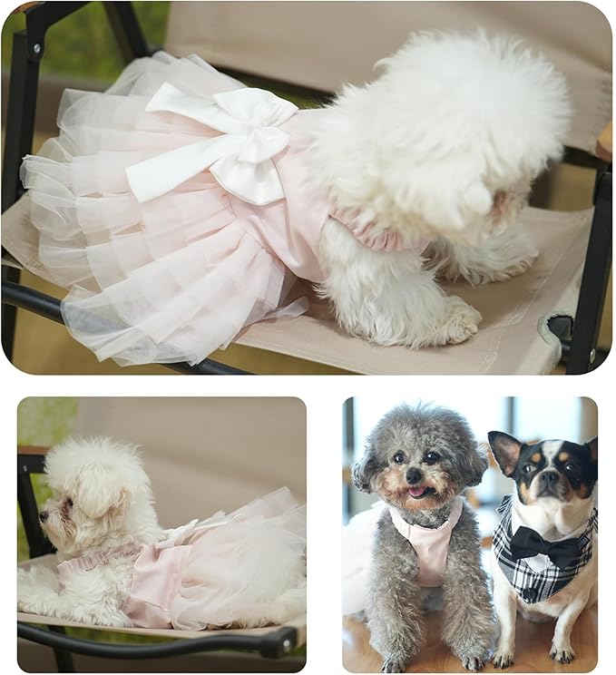 Dog Dress Wedding Outfits, Princess Lace Tutu Strappy Skirt for Female Puppy Small Medium Dogs Girl Cats Costume (Strappy Dress, 4X-Large)