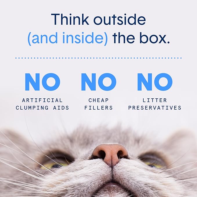 Boxie® Unscented 30 Day Natural Odor Control Cat Litter, 11.5lb Lightweight Plant Based Kitty Litter