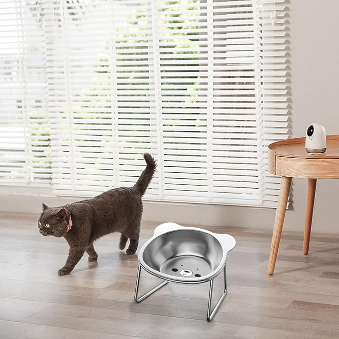Elevated Cat Bowls, 4.9" Extra Wide Stainless Steel Cat Food Bowls with Anti-Slip Metal Stand Whisker Friendly Water Dishes for Indoor Cats and Small Dogs Cats Dishes Cats Food Dish