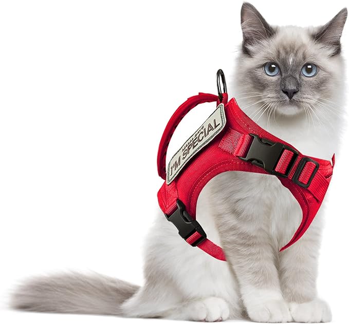 AIWAI Tactical Cat Harness for Walking Escape Proof, Adjustable Pet Vest Harness with Control Handle for Large Cat Small Dog, Soft Mesh, Gift with Patch