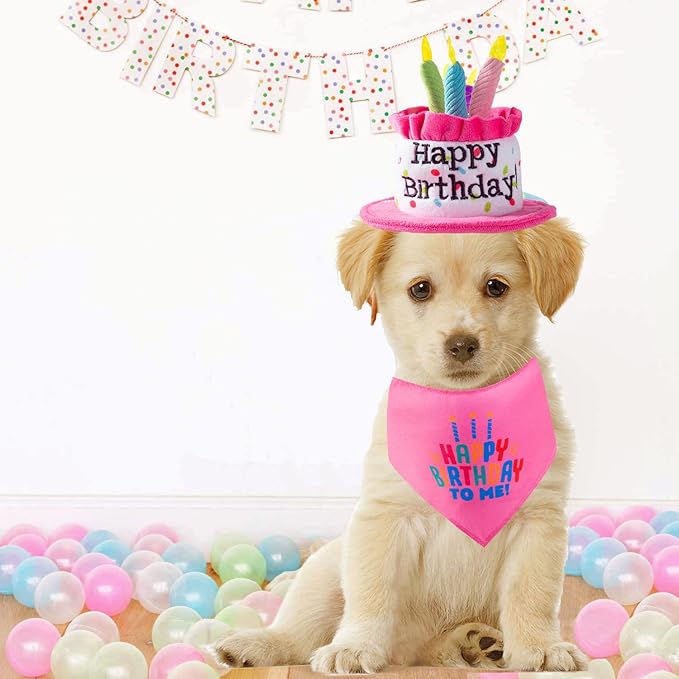 Cat Happy Birthday Cake Hat & Bandana Scarfs Set with Colorful Candles for Small Animas, Cat Birthday Party Supplies Decorations (Pink)