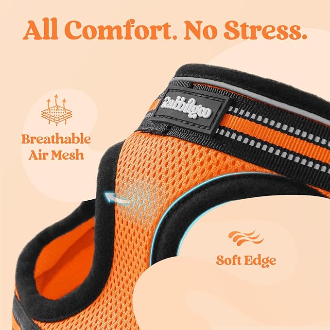 rabbitgoo Cat Harness and Leash Set for Walking Escape Proof, Adjustable Soft Kittens Vest with Reflective Strip for Cats, Comfortable Outdoor Vest,Light Orange,M