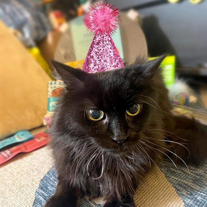 10Pcs Small Dog Party Hats with Sequins, Cats Adjustable Holiday Hats, Puppy Paper Hats for Birthday, Mini Party Hats for Stuffed Animals, Glitter Birthday Party Hats with Pom Poms for Pets