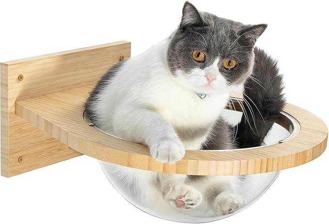 Cat Wall Shelves, Wall Mounted Cat Bubble Furniture,Transparent Cat Capsule Bed Set,Cat Hammock for Living Room or pet Room.