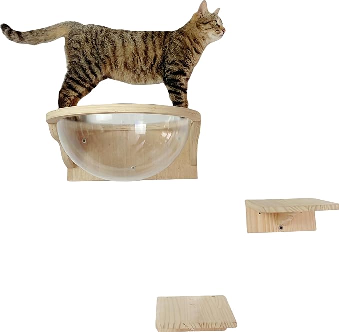 Black Large Cat Wall Shelves,Large Bed/Bubble for Cats Set Climbing Furniture, Wall Clear Cat Hammock Transparent Capsule Bed Set-1XL