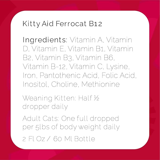 Ferrocat B12 Stimulates Immune System Appetite and Development in Adult Cats and Kittens