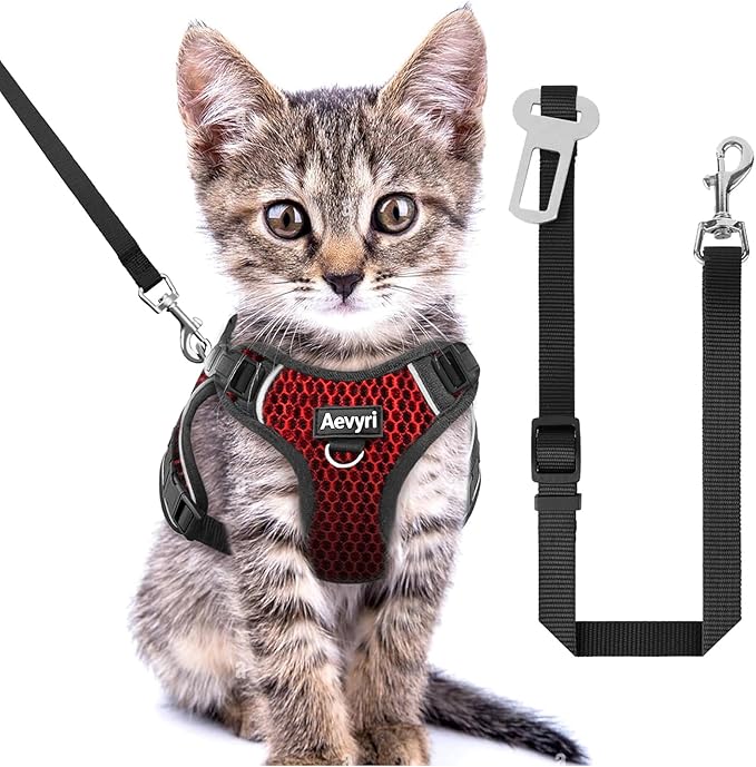 Cat Harness and Leash for Walking Escape Proof Soft Adjustable Cat Leash Breathable Honeycomb Structure Comfortable Vest Easy to Wear Kitten Harness for Outdoor Travel, Honeycomb Red, XS