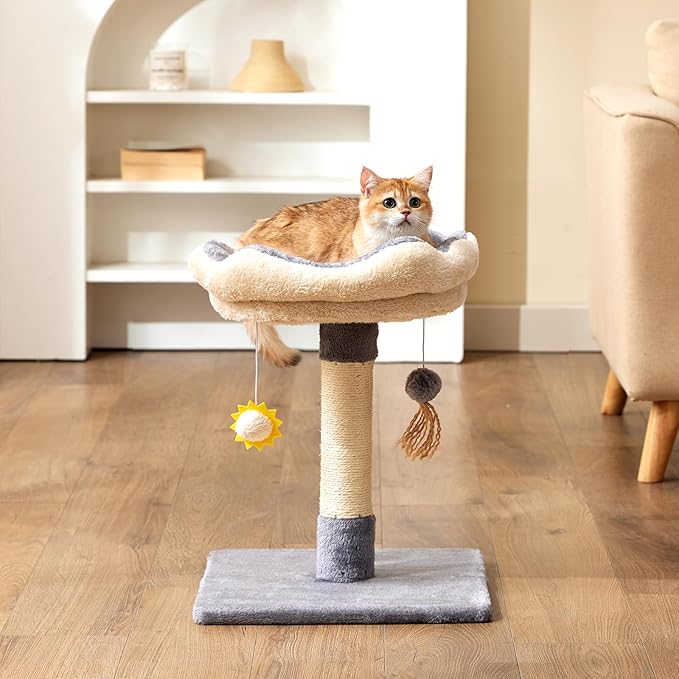 Gardner Pet 20" Cat Tree, Solid Wood Small Cat Tree, Compact Cat Tower Perch for Kittens (Grey, Circle)