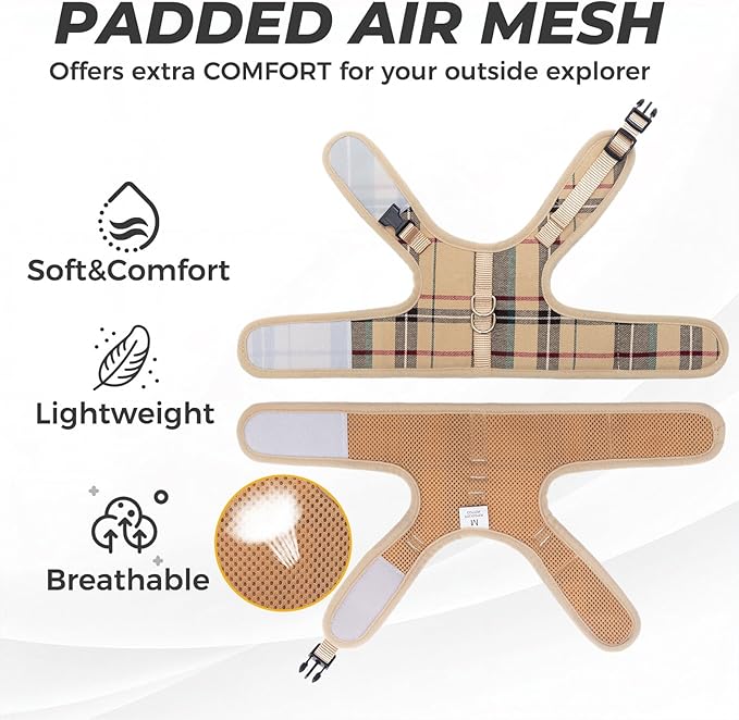 BINGPET Cat Harness and Leash Escape Proof - Soft and Air-Mesh Kitten Travel Walking Harness - Vest Harness for Small Medium Large Cats & Puppy Dog & Rabbit