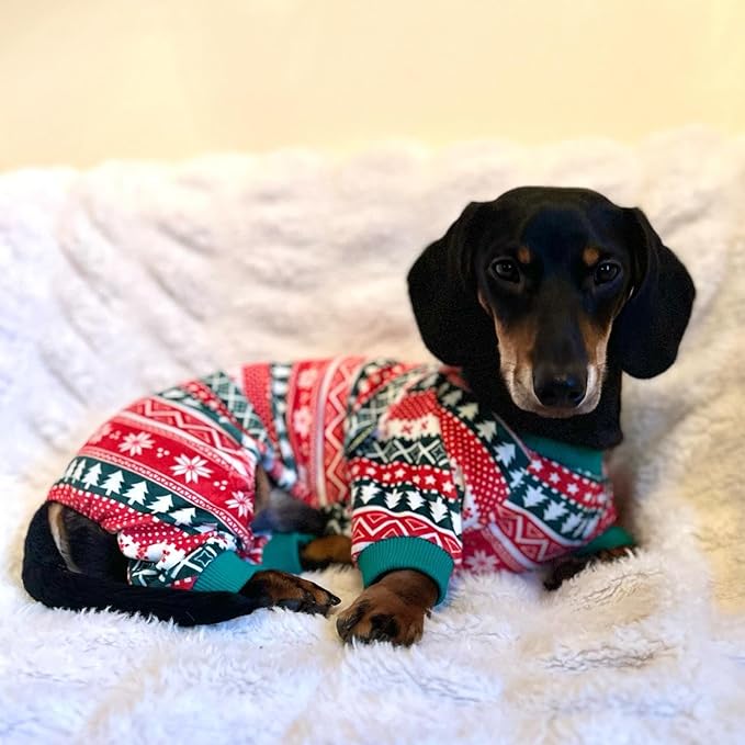 Fitwarm Dog Christmas Outfit, Holiday Pet Clothes for Small Dogs Boy Girl, Festive Pajamas with Feet, Puppy Onesie, Red, Green, XS