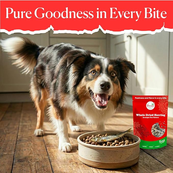 Whole Dried Herring 5 Oz, One Ingredient Dog Treats Fish for Training, Crunchy Air Dried Fish for Dogs and Cats