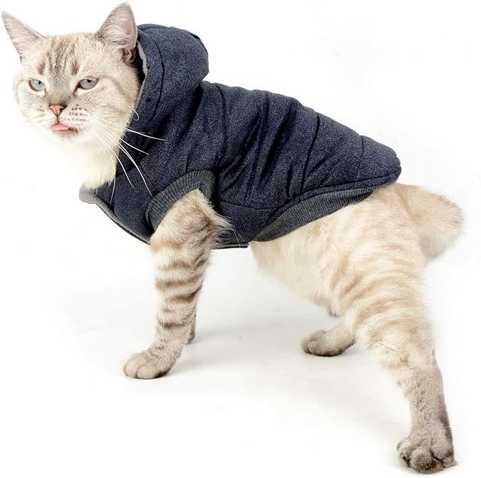 Fleece Dog Hoodie Winter Coat for Small Boy Dog Cat Puppy Cotton Hooded Jacket Chihuahua Clothes Blue XXL