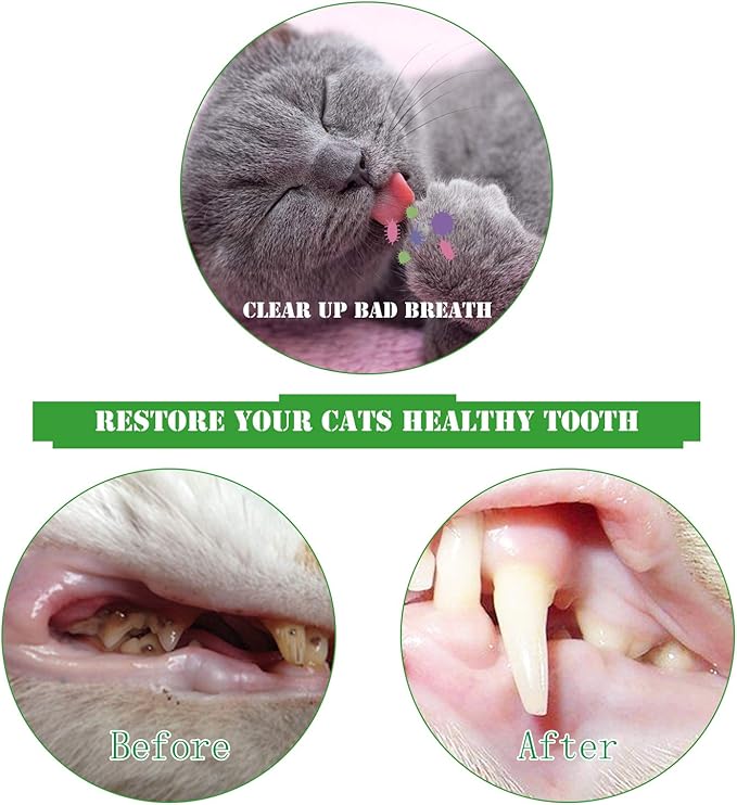Cat Toothbrush Catnip Toy,Interactive Rubber Dental Care for Pet Kitten Kitty, Crayfish-Shaped Safe Chewing Toy Tooth Cleaning Resistant Cat Toy(2 Pack)