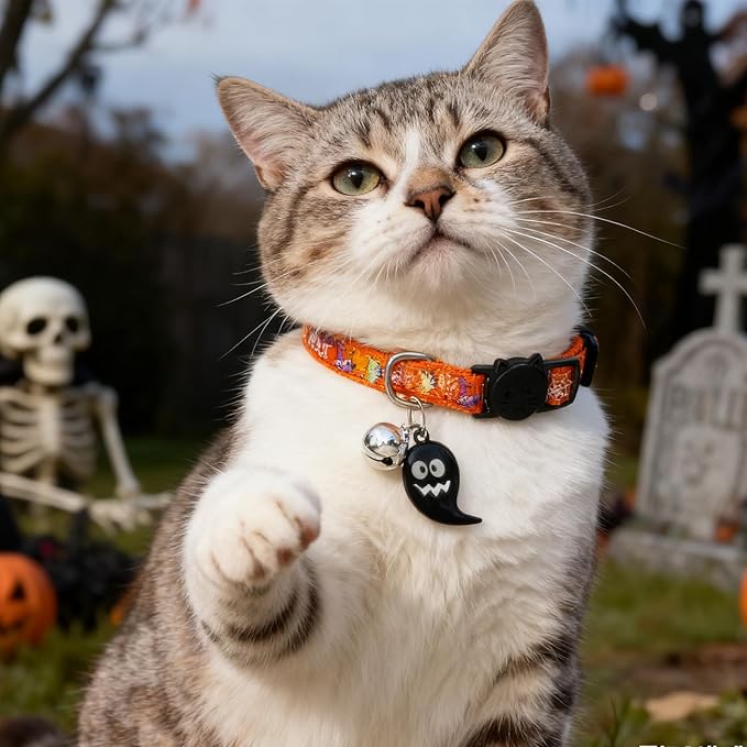 EXPAWLORER Halloween Cat Collar Breakaway - Glow in The Dark Holiday Pet Kitten Collar with Bell and Cute Ghost Pendant, Ideal Gift Adjustable Safety Collars for Cats, 2 Pack