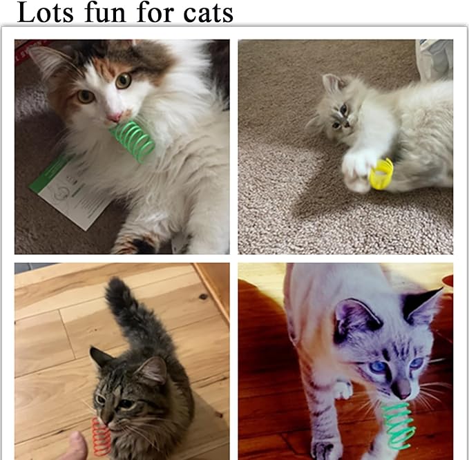 Cat Spring Toys, Bouncy Coil Kitty Cats Spiral Spring Toy for Indoor Cats Heavy Interactive Cat Toys Springy Chew Toys Springs Cat Toy for Biting Entertainment kitten toys (12pcs cat spring toy)