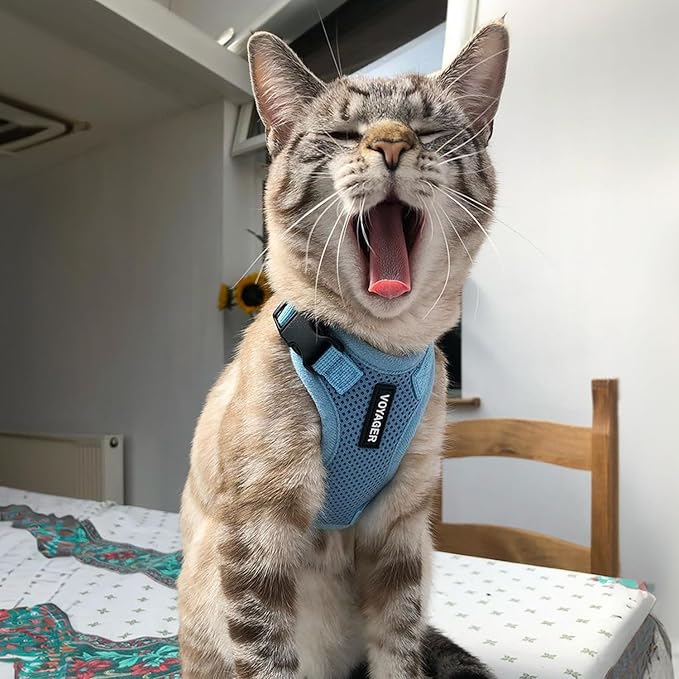 Voyager Escape-Proof Step-in Lock Cat Harness & 5ft Neoprene-Handle Leash Set All-Weather Mesh with Reflective Stitching for Small to Large Cats by Best Pet Supplies, Baby Blue, S