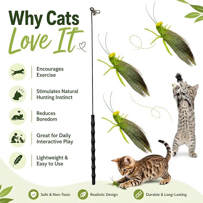 Cat Teaser Wand with 3 Grasshopper Tops, 16.5” Interactive Cat Fishing Pole Toy, Bug on String Toy for Indoor Kittens, Fun Exercise & Play